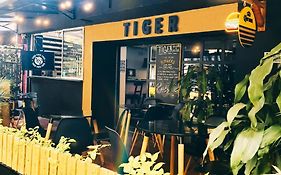 Tiger Hostel